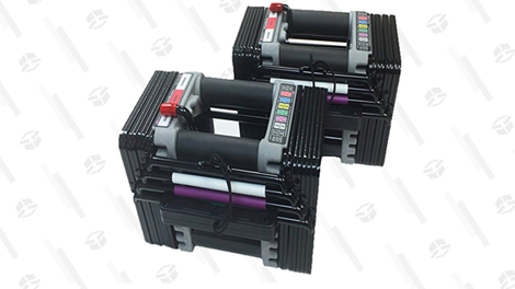 PowerBlock Elite Set Dumbell, 50-Pound (pair) | $251 | Amazon